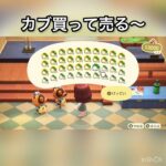 【あつ森】カブ大量に売ったらいくらかな？　#vlog #あつ森 #あつまれどうぶつの森 #こはくちゃんねる2424   #毎日更新　