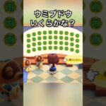 【あつ森】ウミブドウ売ったらいくらかな？　#vlog #あつ森 #あつまれどうぶつの森 #こはくちゃんねる2424   #毎日更新　毎日更新中
