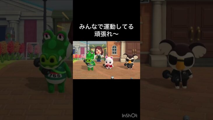 【あつ森】がんばれ　#vlog #あつ森 #あつまれどうぶつの森 #こはくちゃんねる2424   #毎日更新