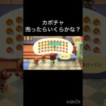 【あつ森】かぼちゃ売ったらいくらかな？　#vlog #あつ森 #あつまれどうぶつの森 #こはくちゃんねる2424   #毎日更新　毎日更新中
