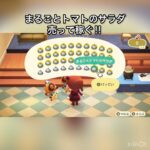 【あつ森】トマトサラダ大量に売ったらいくらかな？　#vlog #あつ森 #あつまれどうぶつの森 #こはくちゃんねる2424   #毎日更新　