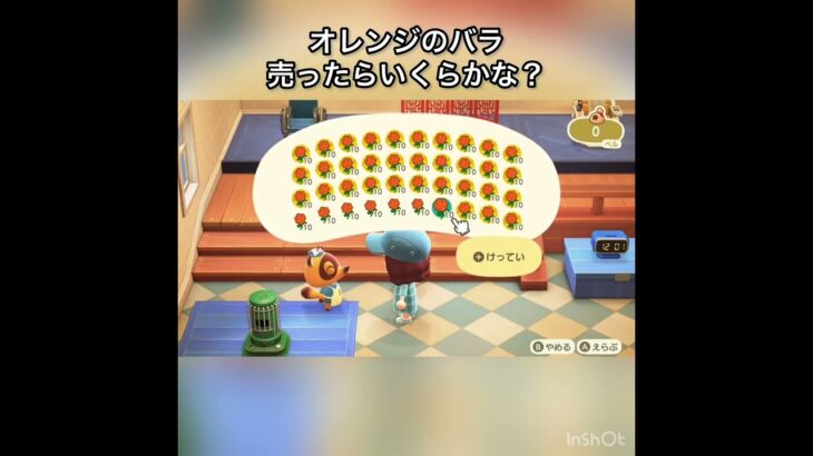 【あつ森　オレンジのバラを大量に売ったらいくらかな？　　#vlog #あつ森 #あつまれどうぶつの森 #こはくちゃんねる2424   #毎日更新　毎日更新中　 金を稼ぐ】
