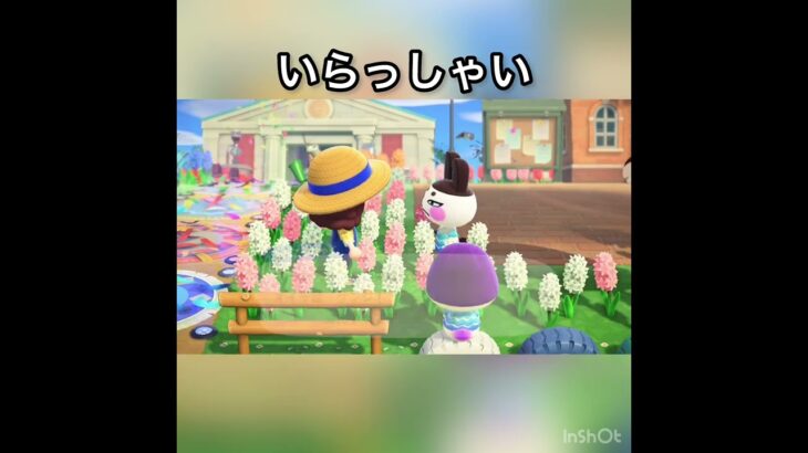 あつ森　ゲンジ　かわいい子　　　#vlog #あつ森 #あつまれどうぶつの森 #こはくちゃんねる2424   #毎日更新　毎日更新中