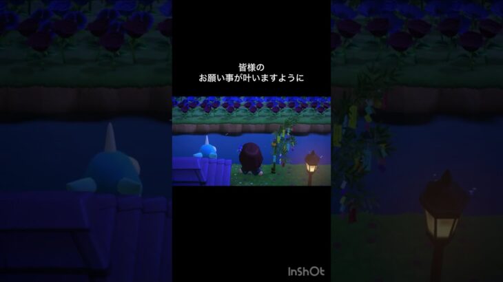 あつ森　七夕の夜　　#vlog #あつ森 #あつまれどうぶつの森 #こはくちゃんねる2424   #毎日更新　毎日更新中　 金を稼ぐ