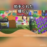 あつ森　かわいい子　　　#vlog #あつ森 #あつまれどうぶつの森 #こはくちゃんねる2424   #毎日更新　毎日更新中
