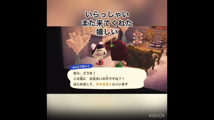 あつ森　かわいいお客様　ジャスミン　　#vlog #あつ森 #あつまれどうぶつの森 #こはくちゃんねる2424   #毎日更新　毎日更新中　 金を稼ぐ