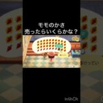 【あつ森】モモの傘売ったらいくら？　#vlog #あつ森 #あつまれどうぶつの森 #こはくちゃんねる2424   #毎日更新