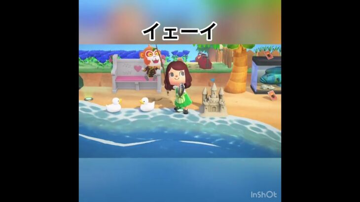 あつ森　釣ったぜ　　#vlog #あつ森 #あつまれどうぶつの森 #こはくちゃんねる2424   #毎日更新　毎日更新中　 金を稼ぐ