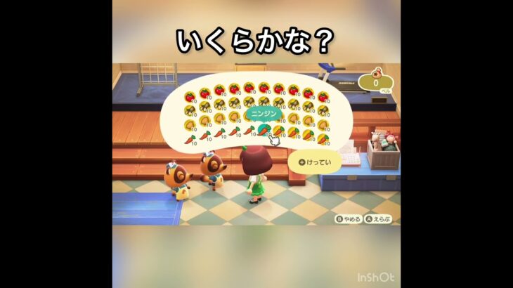 【あつ森】野菜売ったらいくらかな？　#vlog #あつ森 #あつまれどうぶつの森 #こはくちゃんねる2424   #毎日更新　