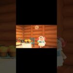【あつ森】正直なちゃちゃまるが可愛い #あつまれどうぶつの森 #あつ森ちゃちゃまる #あつ森vlog