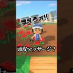 青バラに対するハラスメントがすごい #あつ森 #青バラ  #vtuber #ゲーム実況 #shorts