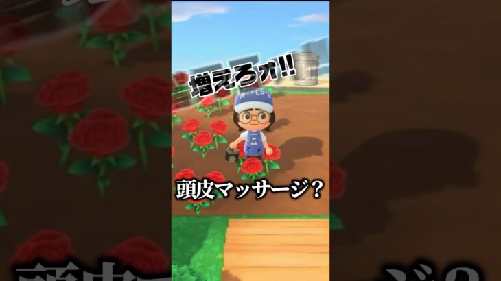 青バラに対するハラスメントがすごい #あつ森 #青バラ  #vtuber #ゲーム実況 #shorts