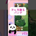 【あつ森】ズルしたことを謝罪するパンダ🐼　#あつ森 #あつまれどうぶつの森 #ゲーム実況 #vtuber #新人vtuber #パトちゃん #shorts