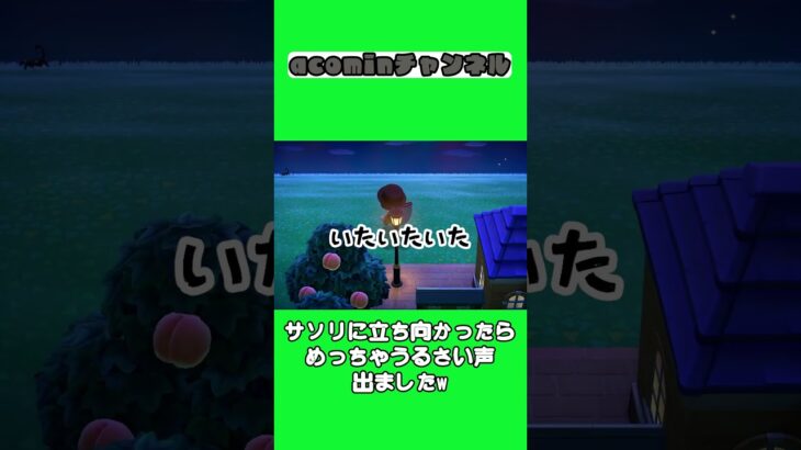 【あつ森】サソリに立ち向かったらめっちゃうるさい声出ましたw |shorts
