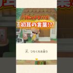 【あつ森】この言葉は初耳！？写真の裏の文字がまさかすぎたw【あつまれどうぶつの森】#shorts #あつ森