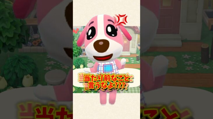 【あつ森】え！？ペリーヌの意外すぎる言葉に笑いましたw【あつまれどうぶつの森】#shorts #あつ森