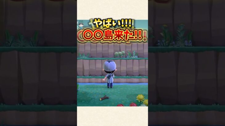 【あつ森】奇跡！久々に激レアな島に来ちゃったw【あつまれどうぶつの森】#shorts #あつ森