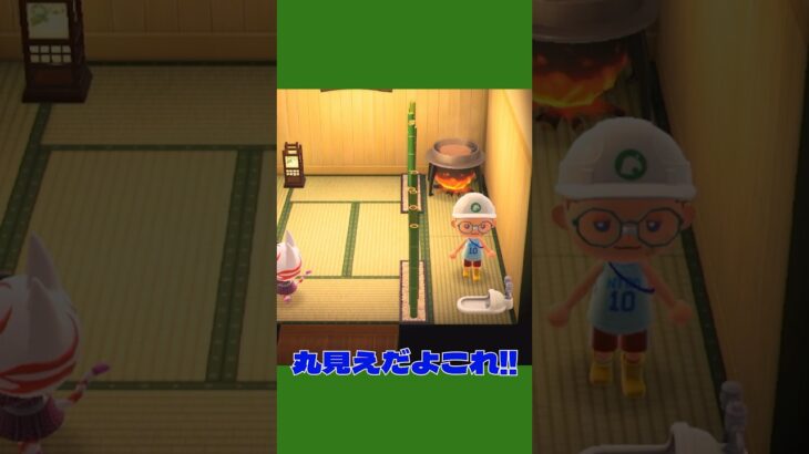 【あつ森ショート】トイレは隠しましょう🚽！ww #あつ森 #あつまれどうぶつの森 #animalclossing #ライブ配信 #しゅまのゲーム帳
