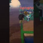【あつ森】ミッチェルを網で叩きまくってみたwww #shorts #あつ森