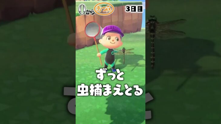 0からあつ森3日目 #shorts #あつ森