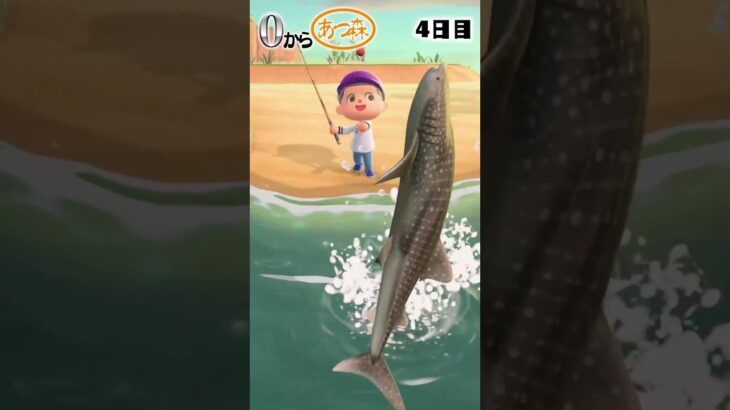 0からあつ森4日目 #shorts #あつ森