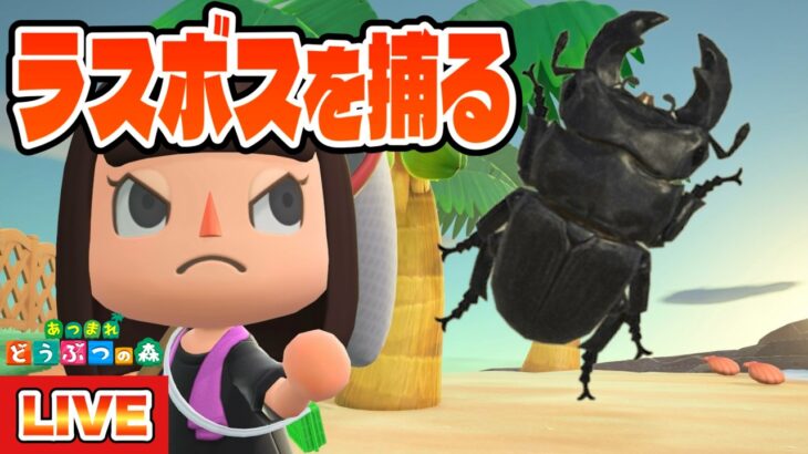 【あつ森】虫図鑑ラスト1匹！ラスボスのオオクワガタを捕るぞ！！！【あつまれどうぶつの森】