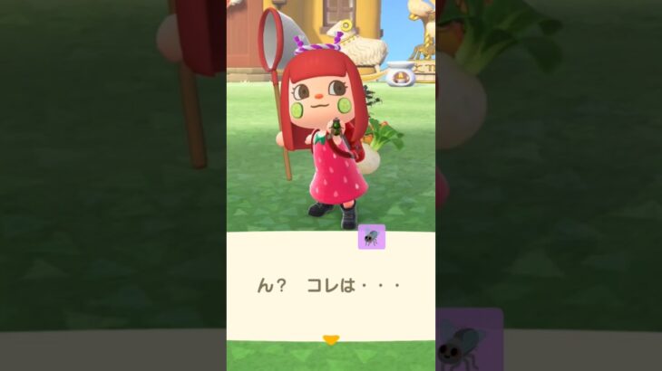昆虫あと1種類！金のあみ欲しい！#あつ森 #animalcrossing#switch #任天堂 #ゲーム#daily#animal#switch2#gaming #vlog#cute #games