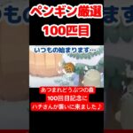 【あつ森】ペンギン厳選100匹目 #vtuber  #ゲーム実況