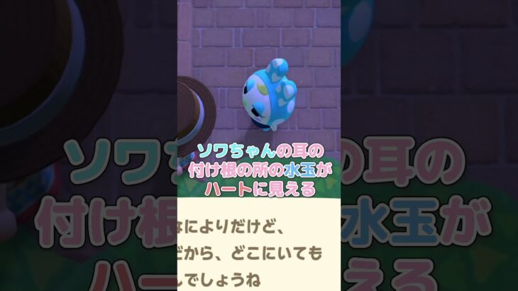 見つけてしまったフランソワの秘密と1000ベル【あつ森】