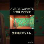 【ハピパラ】101件目タンボさま「気ままにキントレ」【あつ森】