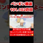 【あつ森】ペンギン厳選101.102匹目 #vtuber  #ゲーム実況