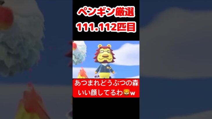 【あつ森】ペンギン厳選111.112匹目 #vtuber  #ゲーム実況