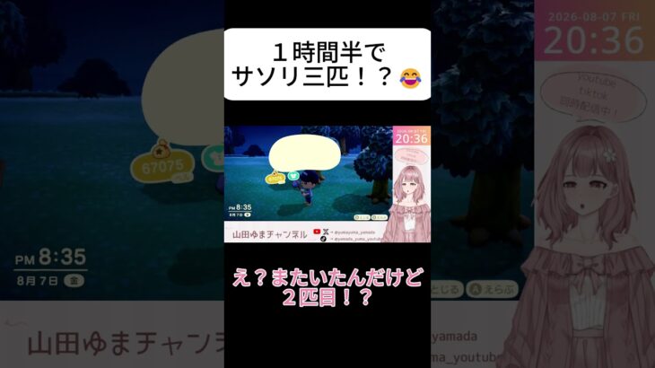 **1時間半でサソリが3匹！？😳【あつ森】** #あつ森 #あつまれどうぶつの森 #サソリ #ゲーム実況 #ゲーム配信 #NintendoSwitch