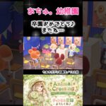 【あつ森住民】『トミくん、幼稚園卒園おめでとう📛』（13）#shorts