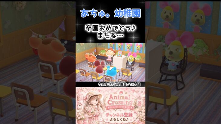 【あつ森住民】『チューこちゃん、幼稚園卒園おめでとう📛』（14）#shorts