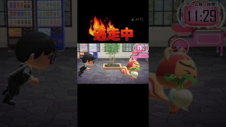 【あつ森アニメ】逃走中第17話#あつ森#あつ森アニメ#逃走中#あつ森逃走中