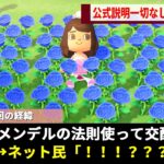 あつ森で何を掛け合わせても姿を現さない「幻の青いバラ」、ガチ勢が花1本１本に秘められた”本物の遺伝情報”を解読し学問が完成するwwww【あつまれどうぶつの森】