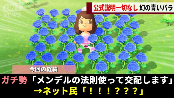 あつ森で何を掛け合わせても姿を現さない「幻の青いバラ」、ガチ勢が花1本１本に秘められた”本物の遺伝情報”を解読し学問が完成するwwww【あつまれどうぶつの森】