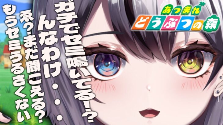 【 #あつまれどうぶつの森  】2くらいから始まるあつ森生活？ #3 【Vtuber/がちょ】