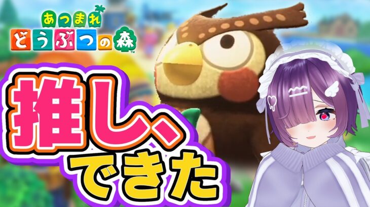 【あつ森】フータに貢ぎたい。博物館を作りながら気ままに島生活 #2