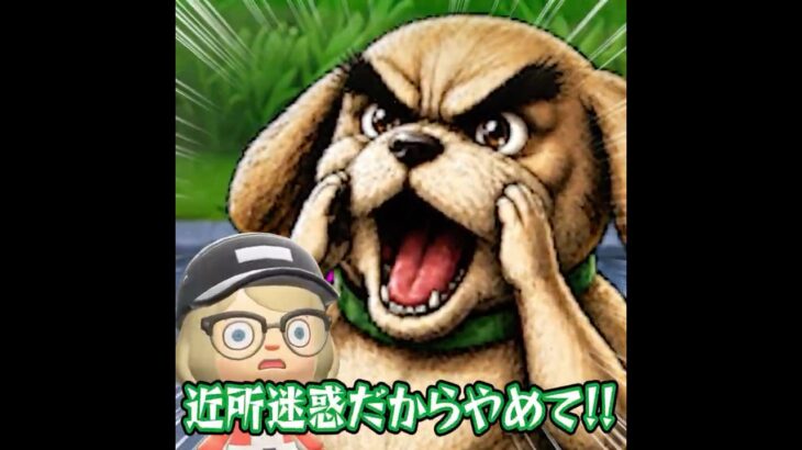 絶対に吠えない犬2 #あつ森 #animalcrossing #あつまれどうぶつの森