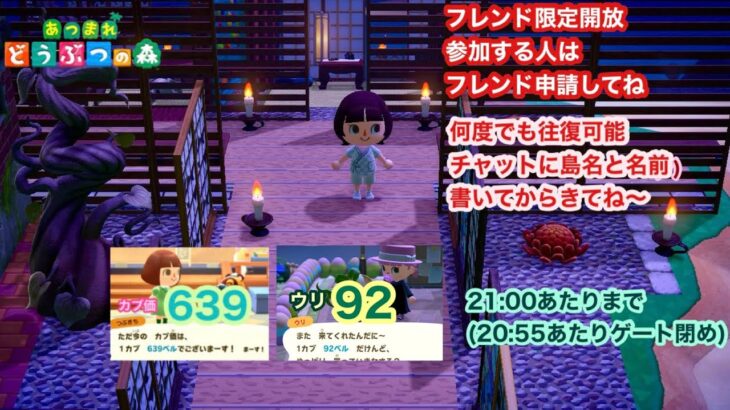 【あつ森】2026,8/22 カブ価639&ウリ92(21:00あたりまで)【フレンド限定開放、参加する人はフレンド申請してね】