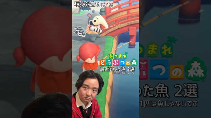 【あつ森近況報告】最近釣った魚 2選（1匹は魚じゃないです）#Shorts