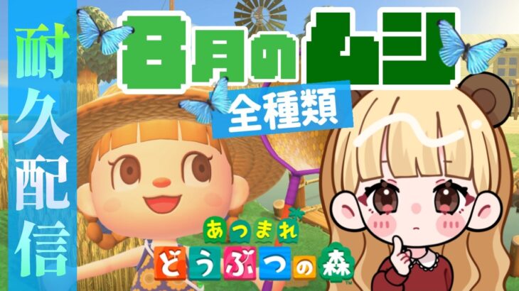 【最長24時間】残り4種！8月の虫全種類捕獲するまで終われません！【あつまれどうぶつの森】【生配信】