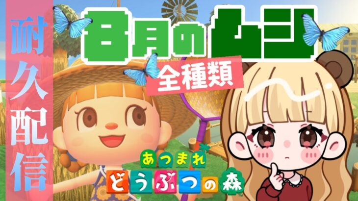 【最長24時間】8月の虫全種類捕獲するまで終われません！【あつまれどうぶつの森】【生配信】