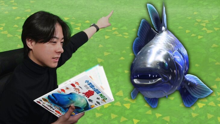 本物の図鑑で行くあつもり‼ ＃27【あつまれ どうぶつの森】