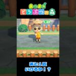 【あつ森】虫取り大会：残り3秒！  #shorts #あつ森 #あつまれどうぶつの森