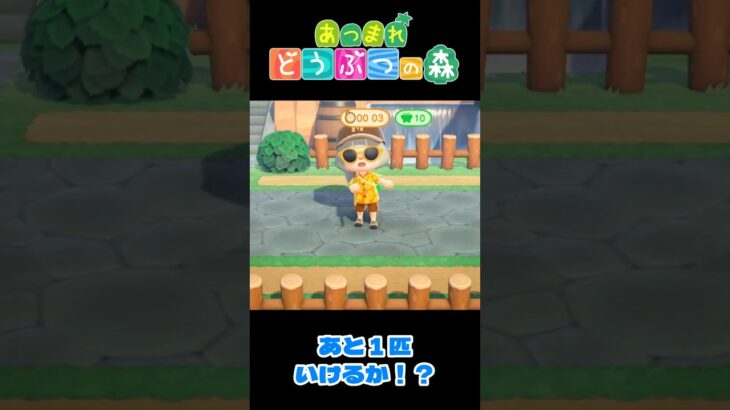 【あつ森】虫取り大会：残り3秒！  #shorts #あつ森 #あつまれどうぶつの森