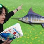 本物の図鑑で行くあつもり‼ ＃31【あつまれ どうぶつの森】