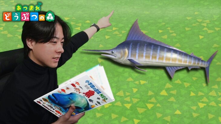 本物の図鑑で行くあつもり‼ ＃31【あつまれ どうぶつの森】